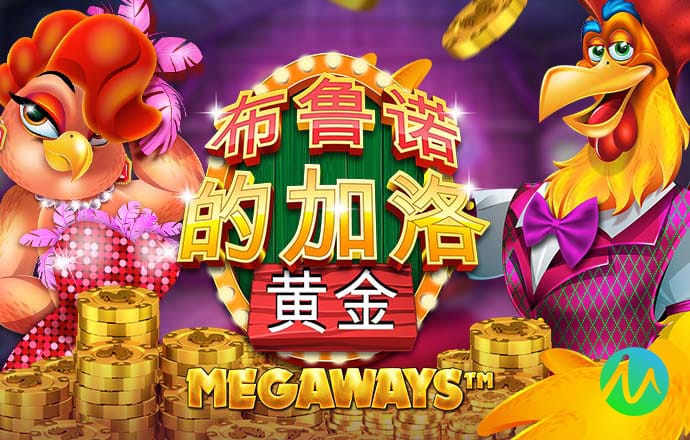 55sj世纪首页登录